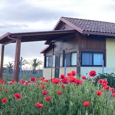 Spiaggia Le Dune Residence มาร์เกริตา ดิ ซาวอยา ภายนอก รูปภาพ